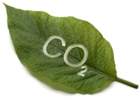 CO2